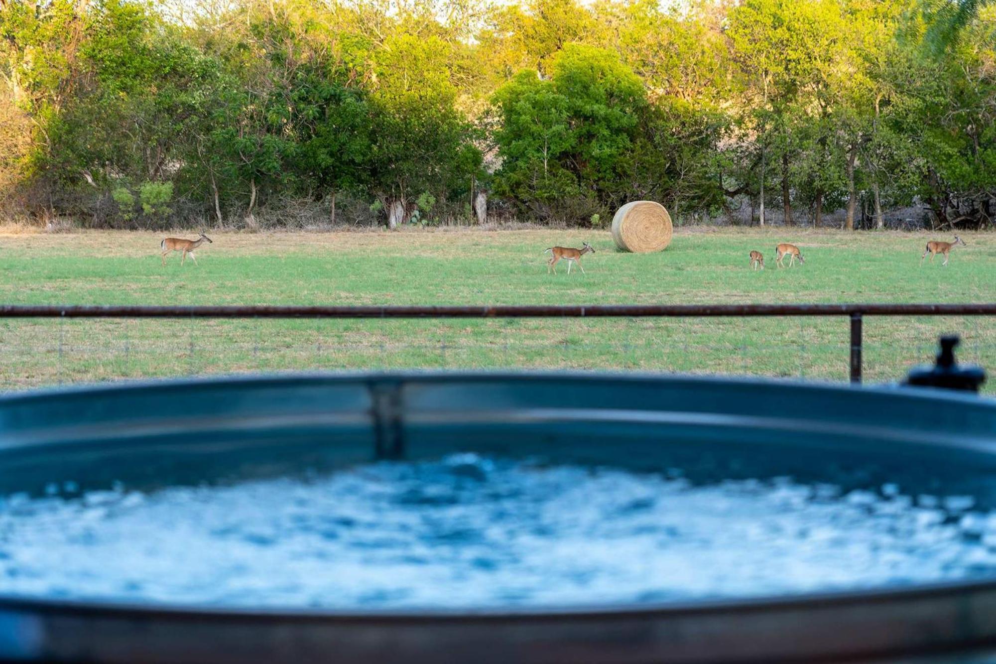Villa Container Haus Pet Friendly With Cowboy Pool Fredericksburg Esterno foto